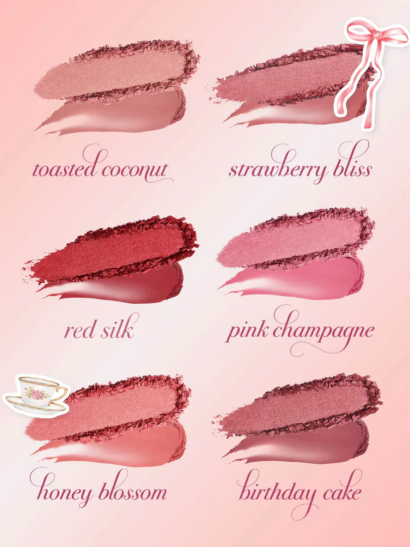 ✨ LAST DAY PROMOTION✨Blush + Brush With Brush Free !