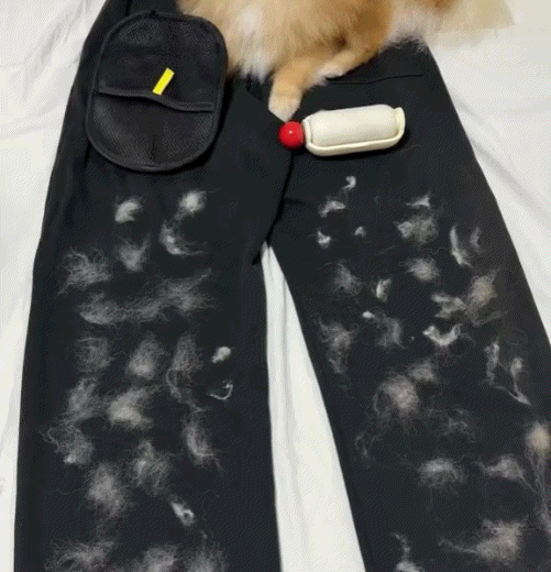 Buy 1 Get 1 Free Aquasunt™ Electrostatic Pet Hair Removal Grooming Gloves